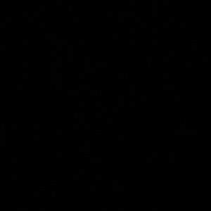 Meet your Posher, Elisa